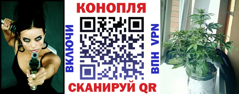 Каннабис SATIVA & INDICA  как найти наркотики  MEGA ССЫЛКА  Киреевск 